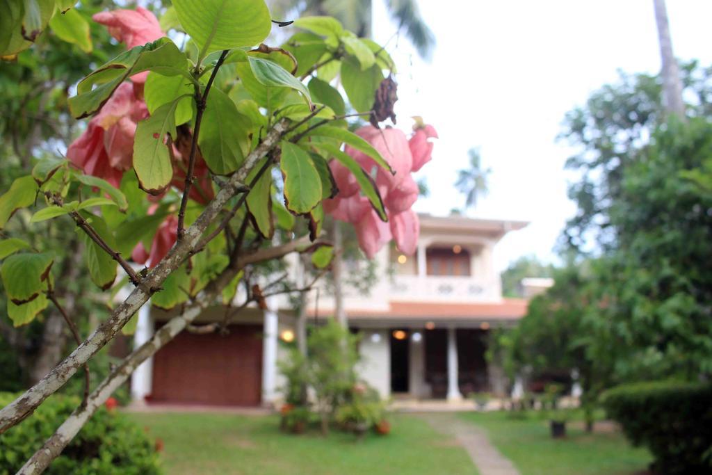 Anura Home Stay Калутара Екстер'єр фото